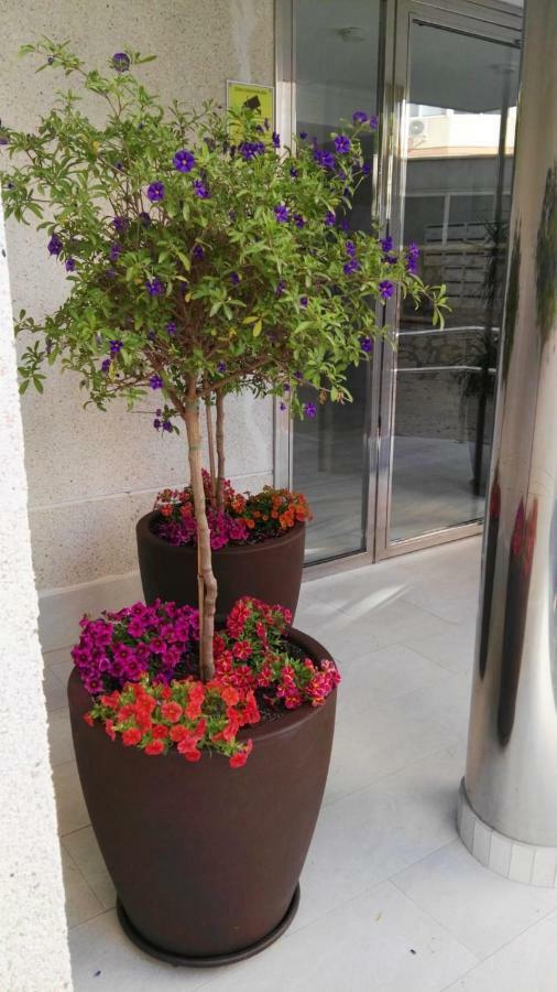 Azul Rentals Benidorm flat Exterior foto